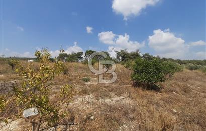 Mersin Toroslar Çelebili'de Satılık Tarla