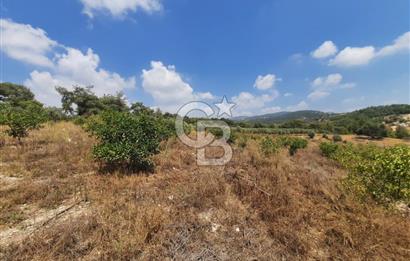 Mersin Toroslar Çelebili'de Satılık Tarla