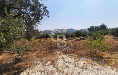 Mersin Toroslar Çelebili'de Satılık Tarla