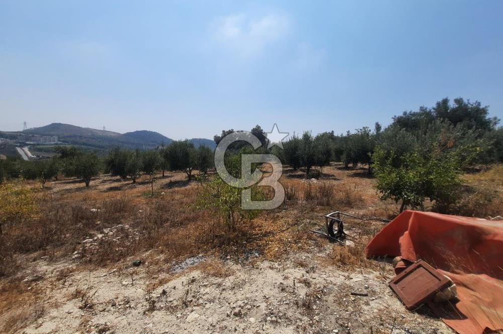 Mersin Toroslar Çelebili'de Satılık Tarla