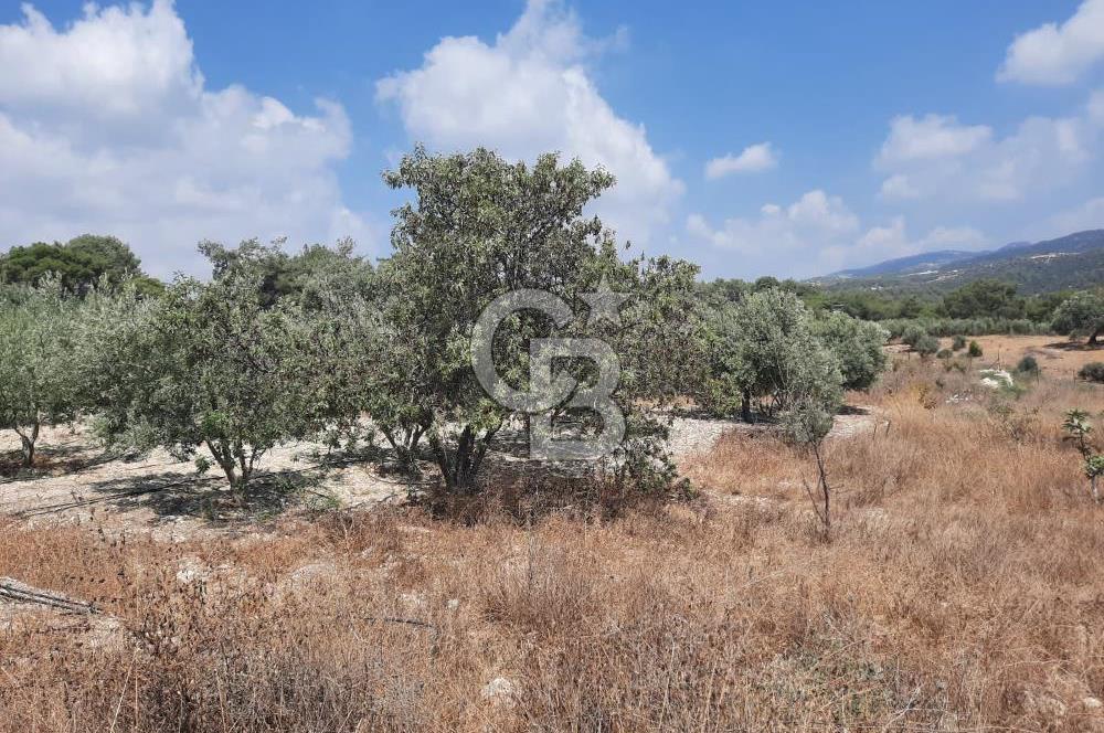 Mersin Toroslar Çelebili'de Satılık Tarla