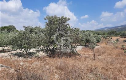 Mersin Toroslar Çelebili'de Satılık Tarla