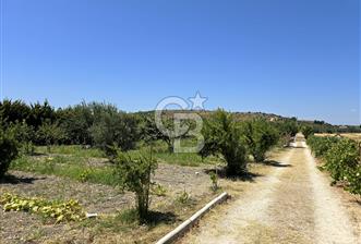 ÇEŞME GERMİYAN DA SATILIK ARSA
