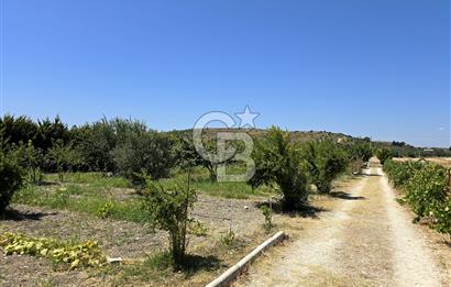 ÇEŞME GERMİYAN DA SATILIK ARSA
