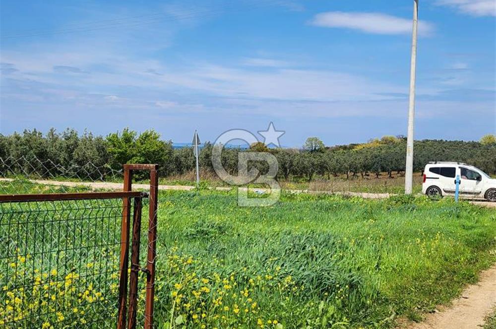 BURSA'NIN TATİL KÖYÜ ESENCEDE SATILIK TARLA