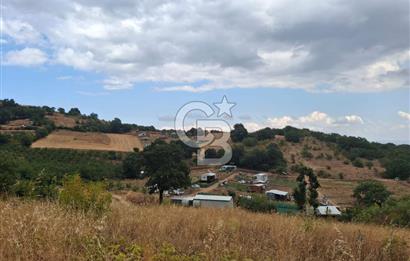 BURSA KESTEL ÜMİTALAN'DA HARİKA DOĞA MANZARALI SATILIK TARLA