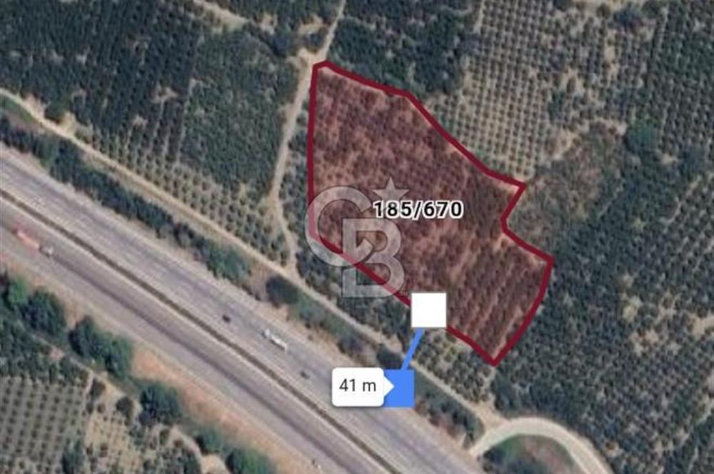 BURSA KESTEL NARLIDERE'DE ANAYOLA CEPHE ÇOK DEĞERLİ TARLA