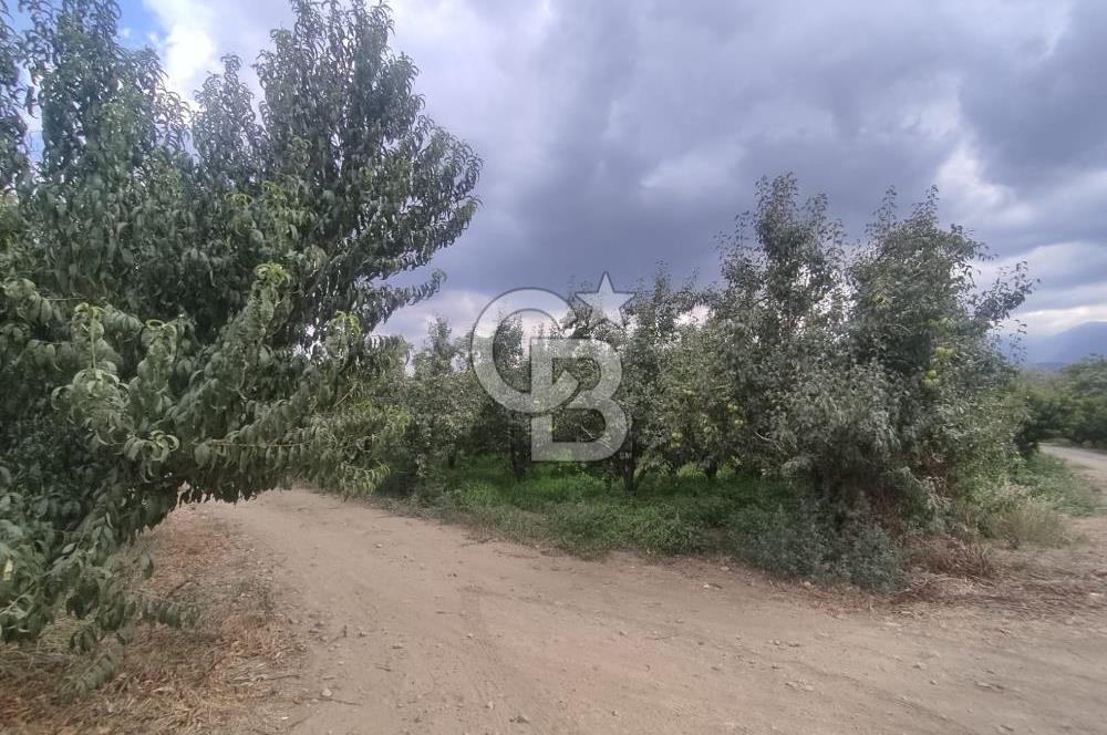 BURSA KESTEL NARLIDERE'DE ANAYOLA CEPHE ÇOK DEĞERLİ TARLA