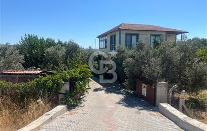İzmir Kınık Yayakent'de Acil Satılık Çiftlik