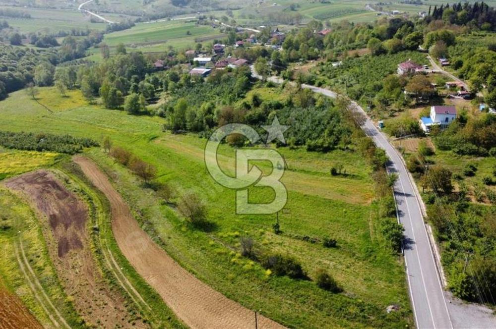 CBTAN-KOCAELİ/İZMİT/BULDUK/MERKEZ 1910M2 SATILIK FIRSAT ARAZİ