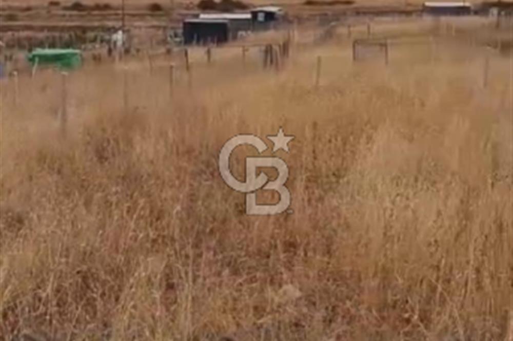 Elmadağ/Karacahasan Köyü Satılık Hobi Bahçesi