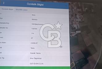 BOLU MERKEZ VAKIFGEÇİTVEREN KÖYÜNDE YOLA CEPHE SATILIK TARLA