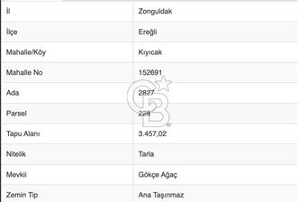 ZONGULDAK EREĞLİ'DE 3.457,02M2 YATIRIMA UYGUN FIRSAT TARLA