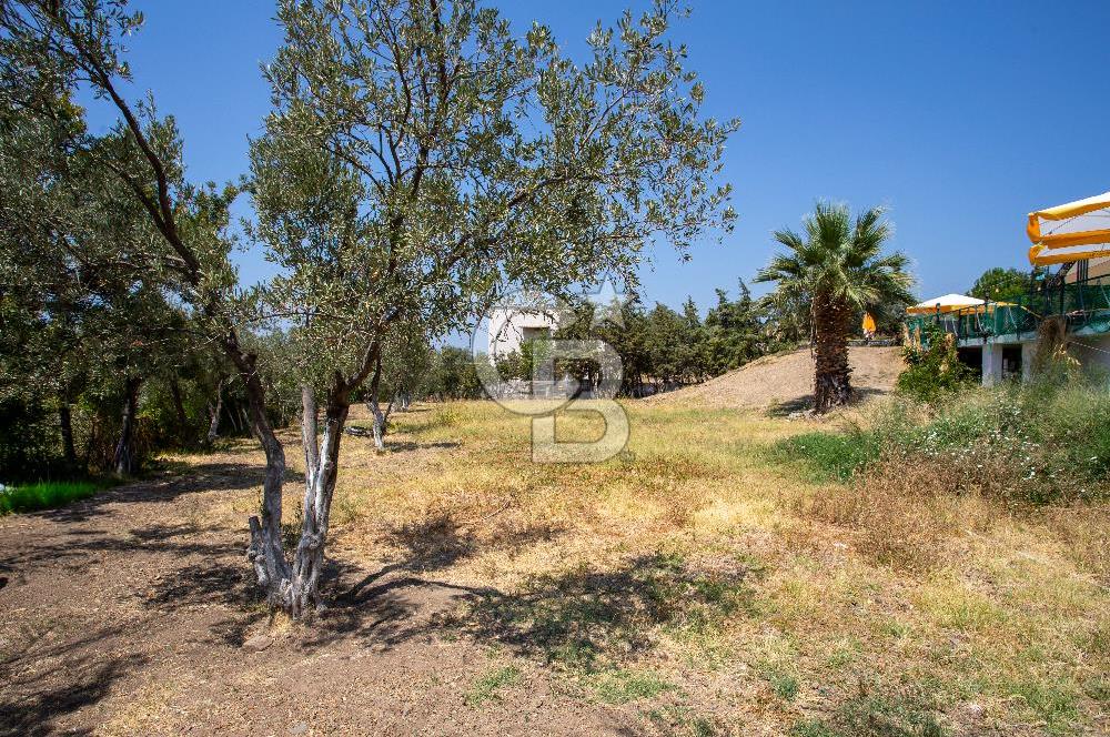 ESKİFOÇA DA SATILIK LÜKS BUTİK OTEL VE BAĞIMSIZ MÜŞTEMİLAT
