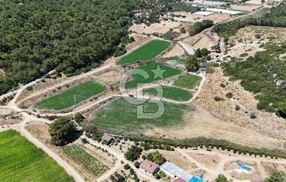 İzmir Seferihisar – Urla Kuşçular’da Yatırıma Uygun Hisseli Arazi Fırsatları