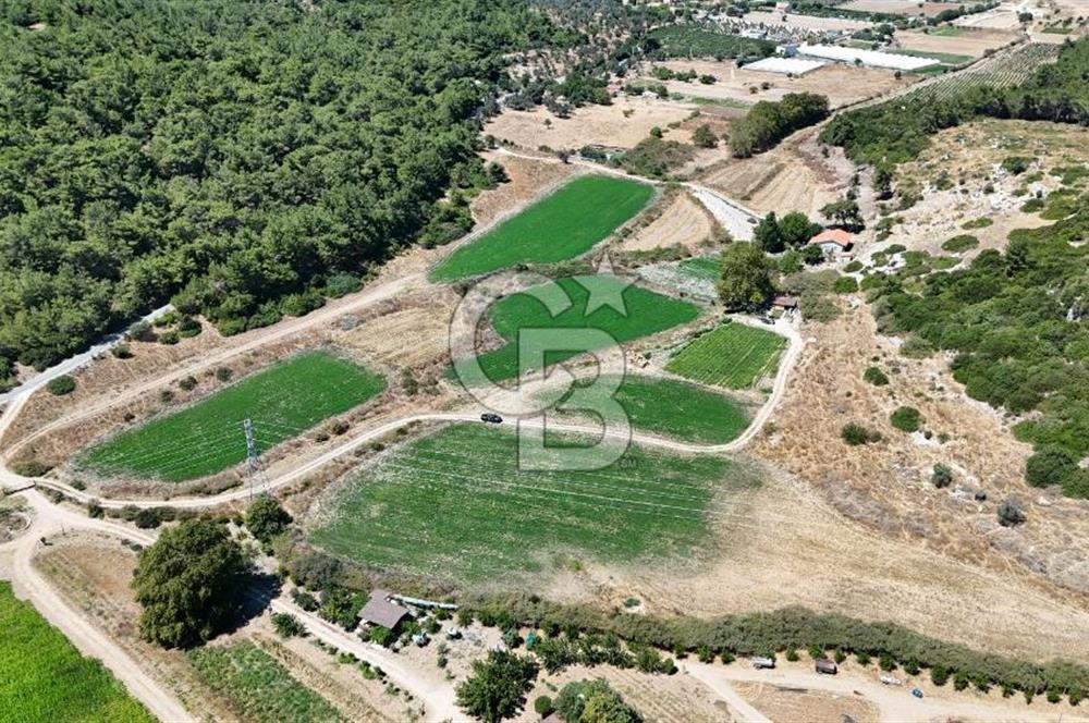 İzmir Seferihisar – Urla Kuşçular’da Yatırıma Uygun Hisseli Arazi Fırsatları