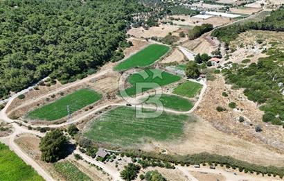 İzmir Seferihisar – Urla Kuşçular’da Yatırıma Uygun Hisseli Arazi Fırsatları