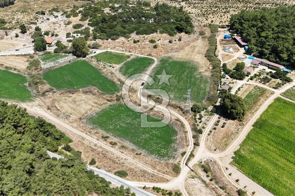 İzmir Seferihisar – Urla Kuşçular’da Yatırıma Uygun Hisseli Arazi Fırsatları