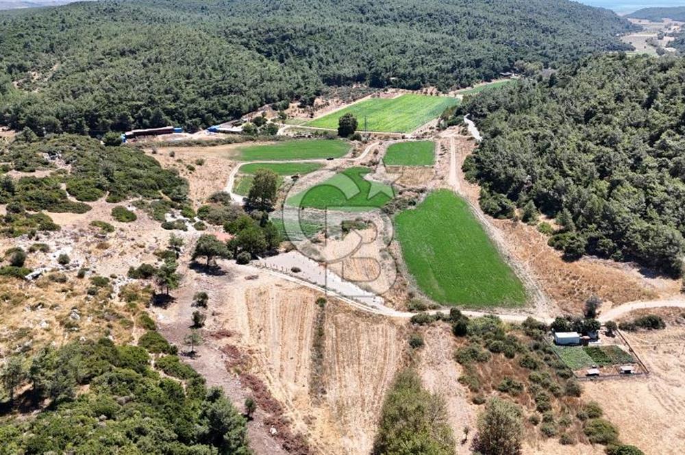 İzmir Seferihisar – Urla Kuşçular’da Yatırıma Uygun Hisseli Arazi Fırsatları
