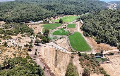 İzmir Seferihisar – Urla Kuşçular’da Yatırıma Uygun Hisseli Arazi Fırsatları