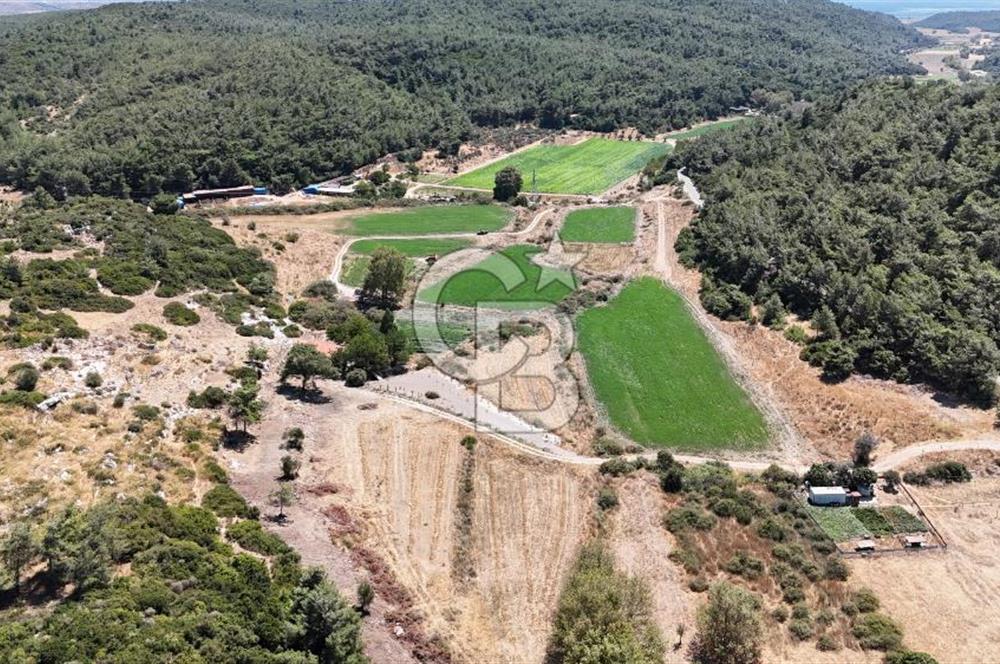 İzmir Seferihisar – Urla Kuşçular’da Yatırıma Uygun Hisseli Arazi Fırsatları