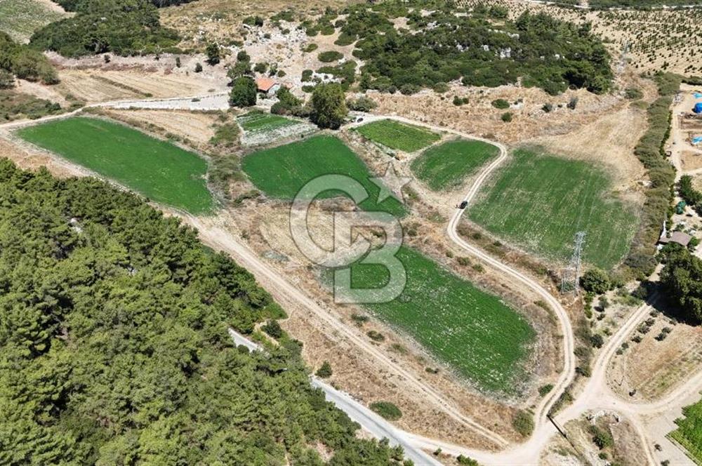İzmir Seferihisar – Urla Kuşçular’da Yatırıma Uygun Hisseli Arazi Fırsatları