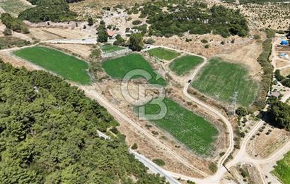 İzmir Seferihisar – Urla Kuşçular’da Yatırıma Uygun Hisseli Arazi Fırsatları