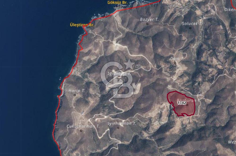 İzmir Karaburun'da 228 Dönüm | RES & GES’e Uygun Satılık Arazi
