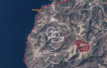İzmir Karaburun'da 228 Dönüm | RES & GES’e Uygun Satılık Arazi