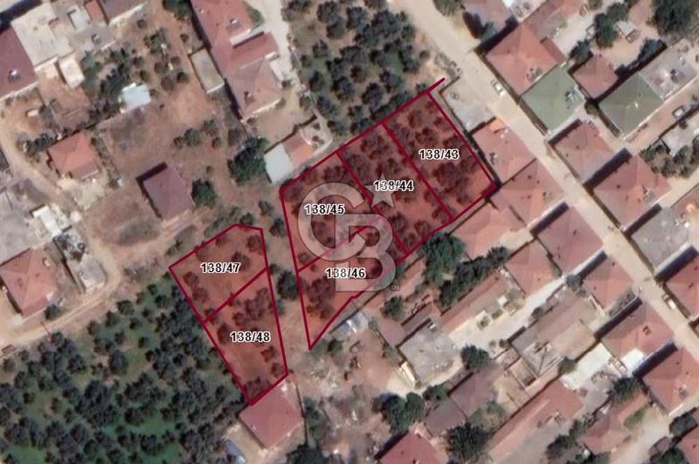 Bursa İznik Boyalıca/Yalı Satılık 3 Kat İmarlı Arsalar