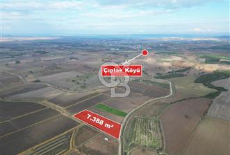 Çanakkale Çıplak Köyü Bağ Evine Uygun 7.388 m² Satılık Tarla