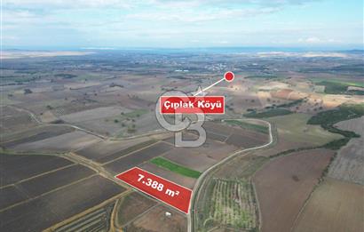 Çanakkale Çıplak Köyü Bağ Evine Uygun 7.388 m² Satılık Tarla