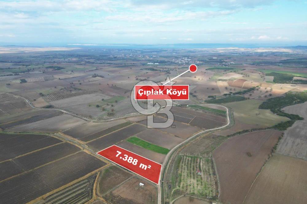 Çanakkale Çıplak Köyü Bağ Evine Uygun 7.388 m² Satılık Tarla