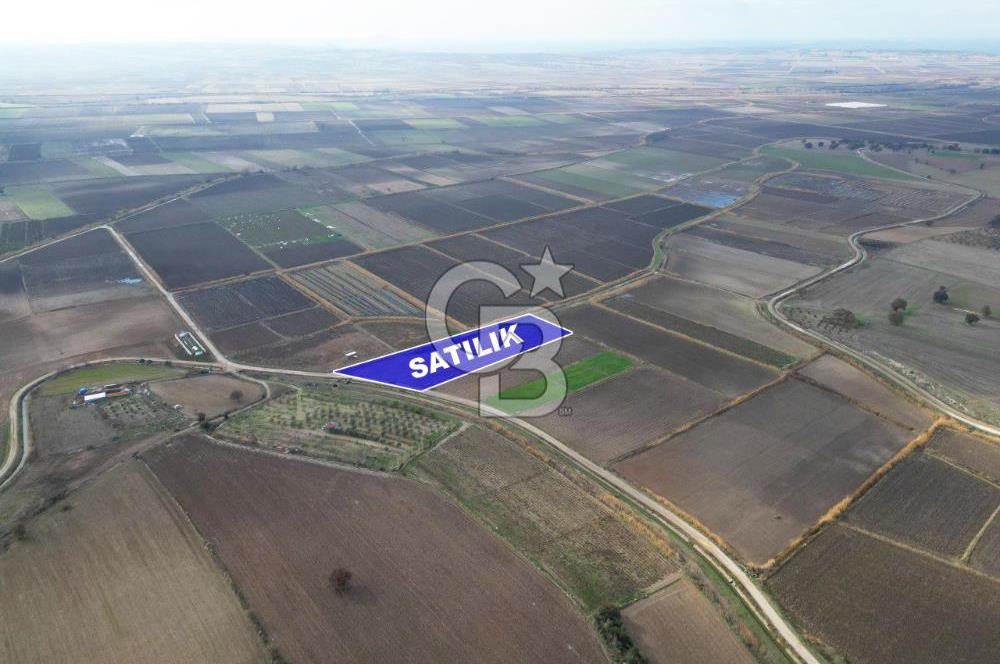 Çanakkale Çıplak Köyü Bağ Evine Uygun 7.388 m² Satılık Tarla
