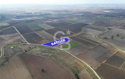Çanakkale Çıplak Köyü Bağ Evine Uygun 7.388 m² Satılık Tarla