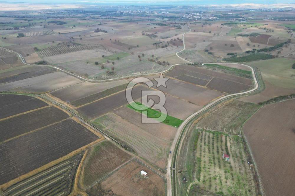 Çanakkale Çıplak Köyü Bağ Evine Uygun 7.388 m² Satılık Tarla