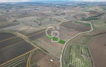 Çanakkale Çıplak Köyü Bağ Evine Uygun 7.388 m² Satılık Tarla