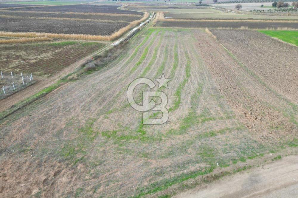 Çanakkale Çıplak Köyü Bağ Evine Uygun 7.388 m² Satılık Tarla