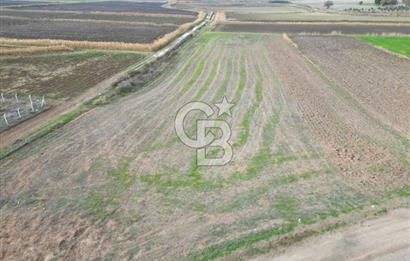 Çanakkale Çıplak Köyü Bağ Evine Uygun 7.388 m² Satılık Tarla