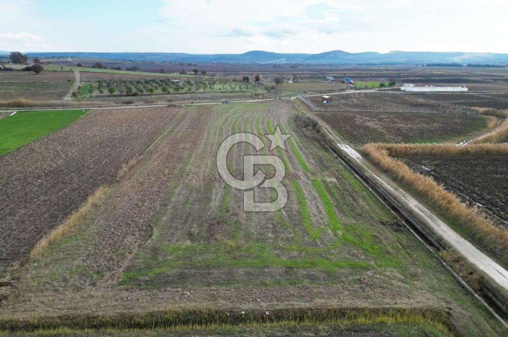 Çanakkale Çıplak Köyü Bağ Evine Uygun 7.388 m² Satılık Tarla