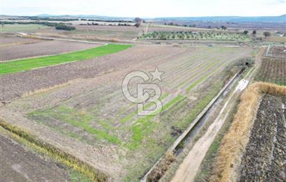Çanakkale Çıplak Köyü Bağ Evine Uygun 7.388 m² Satılık Tarla