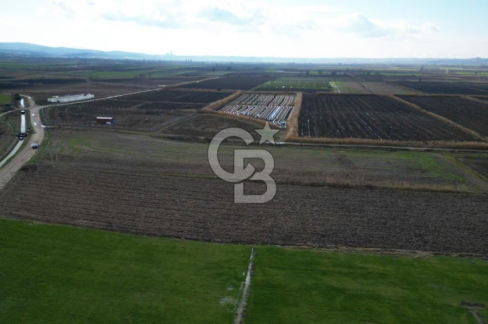 Çanakkale Çıplak Köyü Bağ Evine Uygun 7.388 m² Satılık Tarla