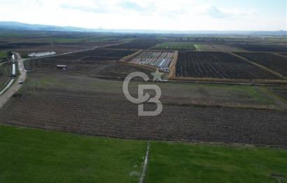 Çanakkale Çıplak Köyü Bağ Evine Uygun 7.388 m² Satılık Tarla