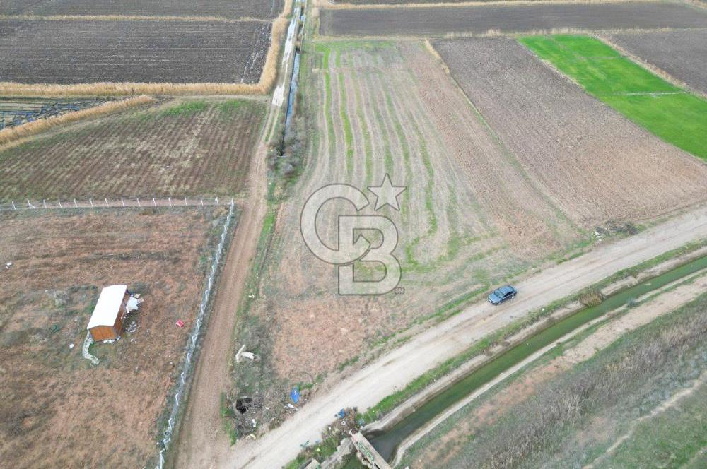 Çanakkale Çıplak Köyü Bağ Evine Uygun 7.388 m² Satılık Tarla