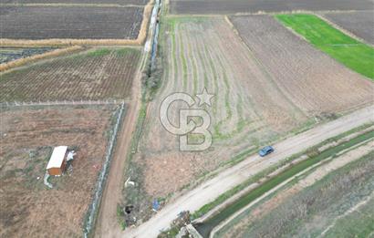 Çanakkale Çıplak Köyü Bağ Evine Uygun 7.388 m² Satılık Tarla