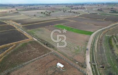 Çanakkale Çıplak Köyü Bağ Evine Uygun 7.388 m² Satılık Tarla