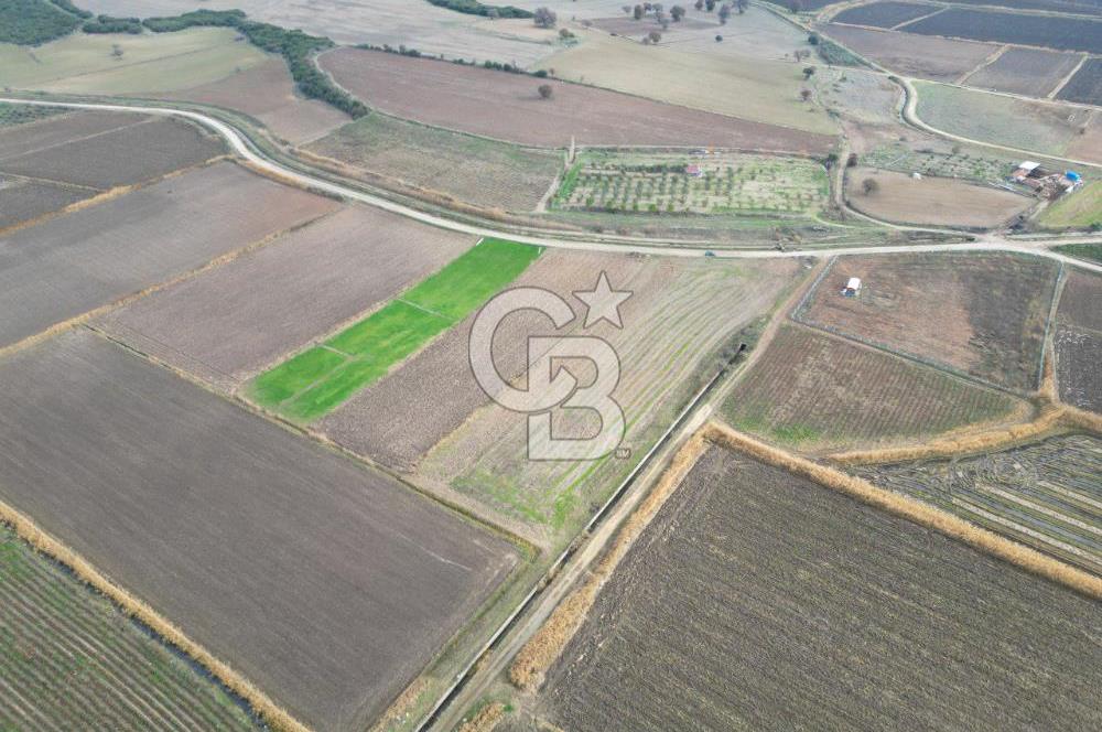 Çanakkale Çıplak Köyü Bağ Evine Uygun 7.388 m² Satılık Tarla