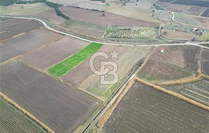 Çanakkale Çıplak Köyü Bağ Evine Uygun 7.388 m² Satılık Tarla