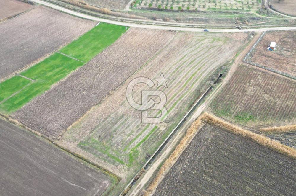 Çanakkale Çıplak Köyü Bağ Evine Uygun 7.388 m² Satılık Tarla