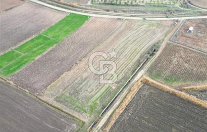 Çanakkale Çıplak Köyü Bağ Evine Uygun 7.388 m² Satılık Tarla
